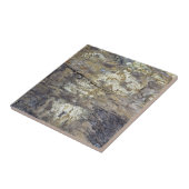 Fossil Wood Tegeltje (Zijkant)