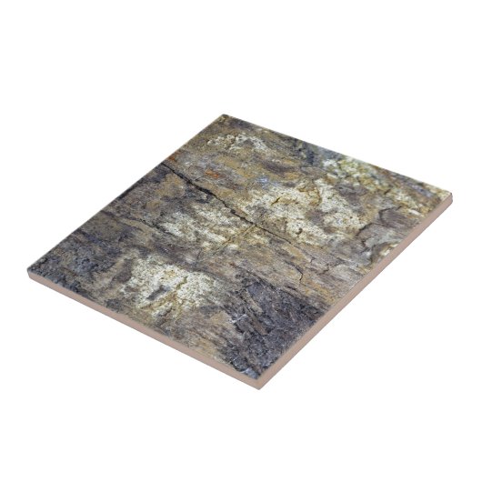 Fossil Wood Tegeltje (Zijkant)