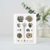  FOSSILEN BRIEFKAART VAN HET DIERENCHART (Staand voorkant)