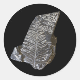 Fossilized Fern Leaves Foto op Black Ronde Sticker