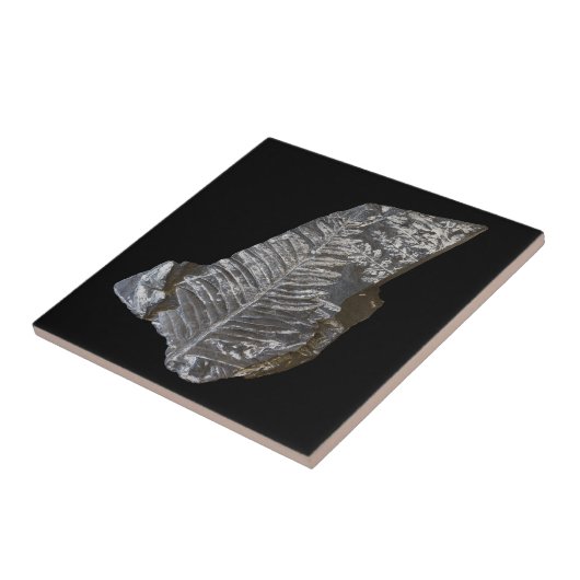 Fossilized Fern Leaves Rock Natuur Fotografie Tegeltje (Zijkant)