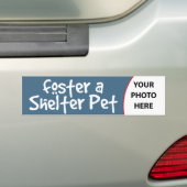 Foster a Shelter Pet Bumpersticker (Op auto)
