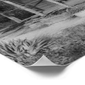 Foster House Poster (Hoek)