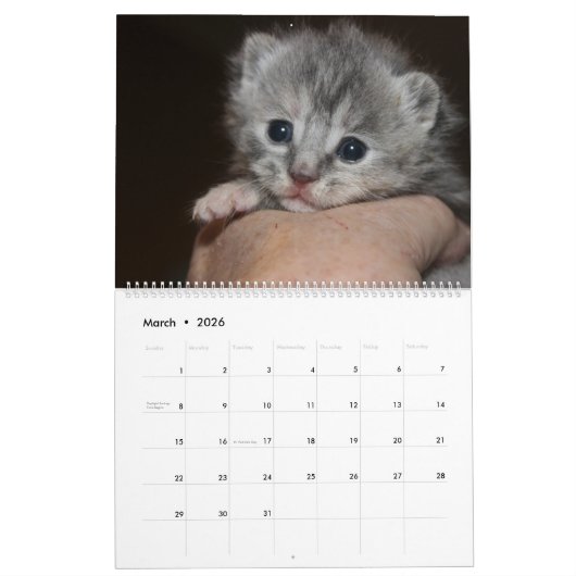 FOSTER LOVE KALENDER (Mar 2026)