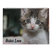 FOSTER LOVE KALENDER (Hoes)