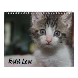 FOSTER LOVE KALENDER