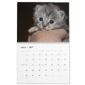 FOSTER LOVE KALENDER (Mar 2027)