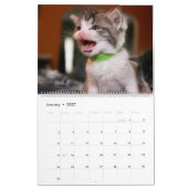 FOSTER LOVE KALENDER (Jan 2027)