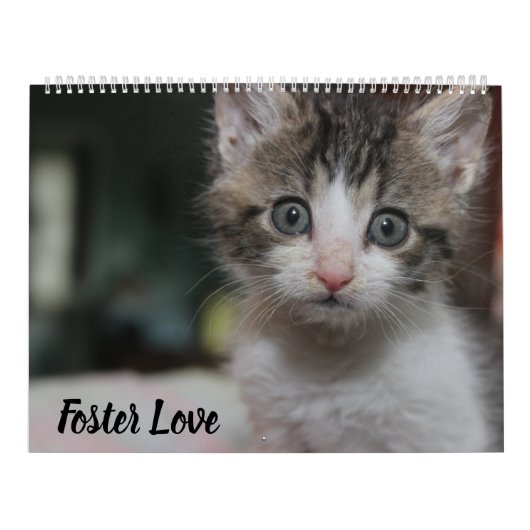 FOSTER LOVE KALENDER (Hoes)