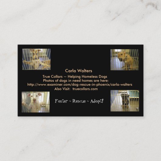 Foster ~ Rescue ~ Visitekaartjes goedkeuren (Voorkant)