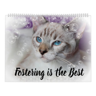 FOSTERING KITTENS IS THE BEST KALENDER
