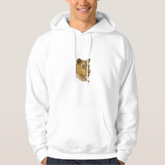 FOTC BRET LION HOODIE FLIGHT CONCHOREN HBO DIER