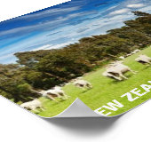 FOTC Nieuw-Zeeland Ewe moet komen Poster (Hoek)
