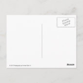 Fotheyo Island Malediven Briefkaart (Achterkant)