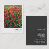 Foto 086 - Bed of Red Tulips 01 Visitekaartje (Voorkant / Achterkant)