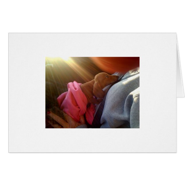 foto[1] (Voorkant Horizontaal)