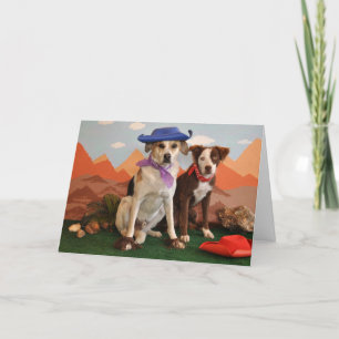 Foto, 2 westerne honden kaart