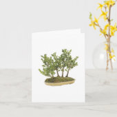 Foto 3 van de bonsai kaart (Gele Bloem)