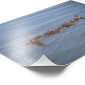 Foto 6x4 Kodak Paper Foto Afdruk (Hoek)