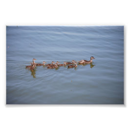 Foto 6x4 Kodak Paper Foto Afdruk