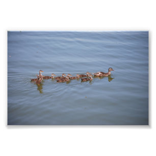 Foto 6x4 Kodak Paper Foto Afdruk