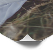 Foto Aanpassen Aanpassing Afbeelding huwelijk aanp Perfect Poster (Hoek)