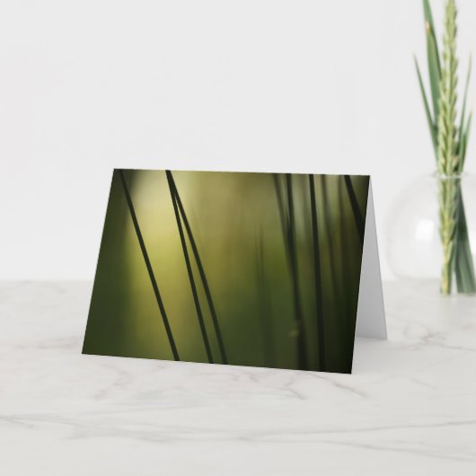 Foto abstracte kunstfoto Natuur Kaart (Voorkant)