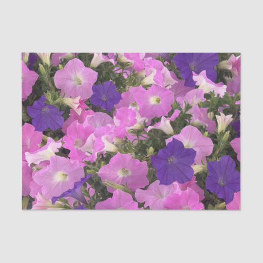 Foto Afbeelding van Morning Glory Pink & Purple Fl Tissuepapier (Voorkant)