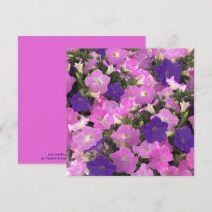 Foto afbeelding van Morning Glory Roze & Paarse Bl Kaart