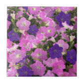 Foto afbeelding van Morning Glory Roze & Paarse Bl Tegeltje (Voorkant)