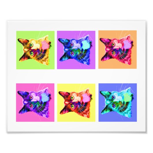 Foto afdrukken 8 x 10-inch regenboog/wit kattenpor (Voorkant)