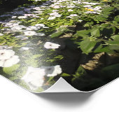 Foto afdrukken met Petunias (Hoek)