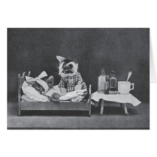  foto - altijd de hond de schuld geven, (Voorkant Horizontaal)