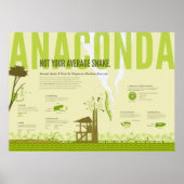 Foto: Anaconda Poster (Voorkant)