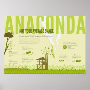 Foto: Anaconda Poster