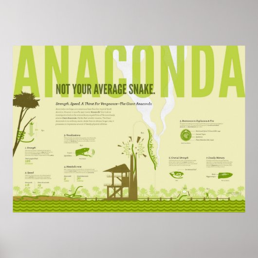 Foto: Anaconda Poster (Voorkant)