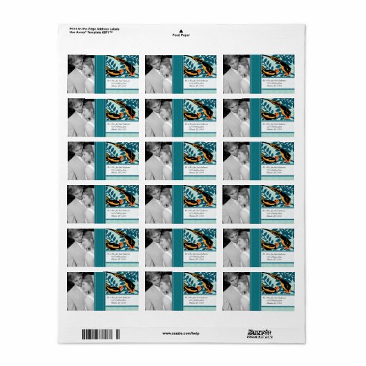 Foto Art Deco Destination Bird Pattern Etiket (Full Sheet)