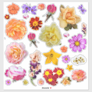 Foto Assortiment Kleurrijke Bloemen Aangepaste Sti Sticker