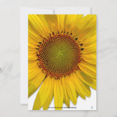 FOTO BABY BOY SHOWER INVITATION SUNFLOWER KAART (Achterkant)