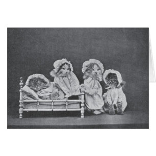  foto - Bedtime for Four Kittens,
