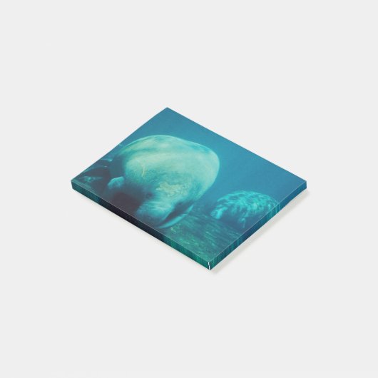 Foto beheren post-it® notes (Schuin)