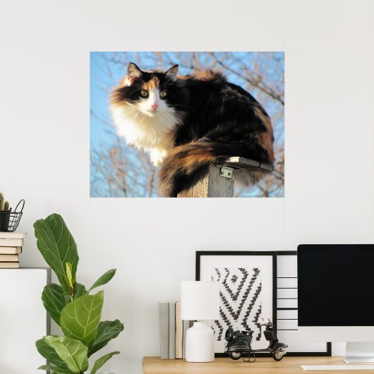 Foto beter Uitzicht Calico Poster (Thuiskantoor)