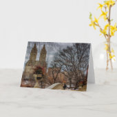 Foto bij de Brug van de Boog in Central Park, NYC Kaart (Gele Bloem)