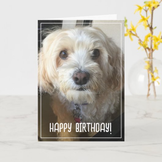 Foto Birthday Kaart (Gele Bloem)