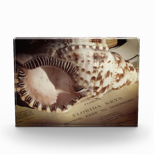 Foto Block- Florida Keys Shell Chart (Voorkant)