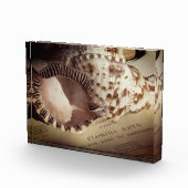 Foto Block- Florida Keys Shell Chart (Rechts)