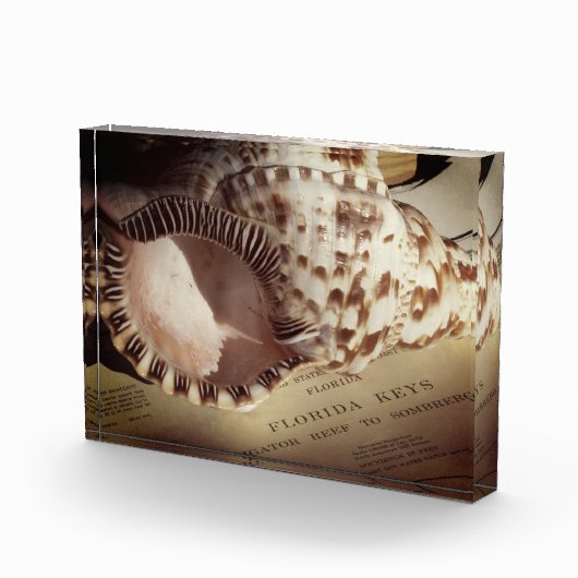 Foto Block- Florida Keys Shell Chart (Rechts)