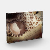 Foto Block- Florida Keys Shell Chart (Links)