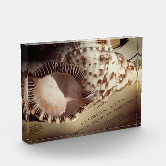 Foto Block- Florida Keys Shell Chart (Links)