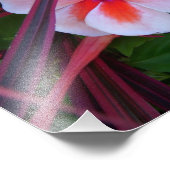 Foto bloemen afdruk (Hoek)